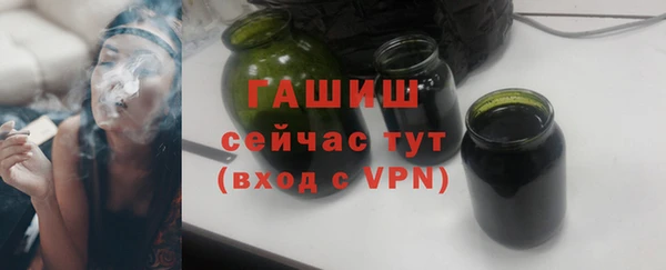прущие грибы Белокуриха