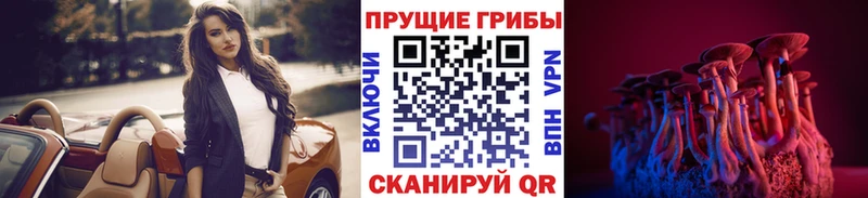 OMG зеркало  Касимов  Псилоцибиновые грибы MAGIC MUSHROOMS 