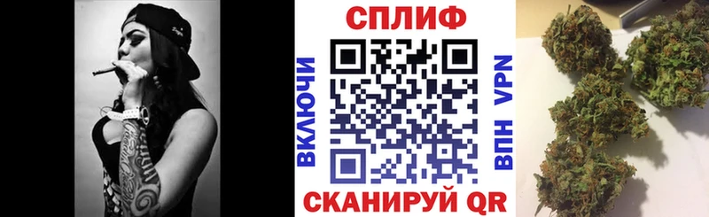 Бошки марихуана планчик  купить наркотик  Касимов 